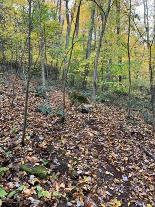 Hocking Hills Cabin-Private Hot Tub, Hiking, Caves Villa Rockbridge Exterior photo