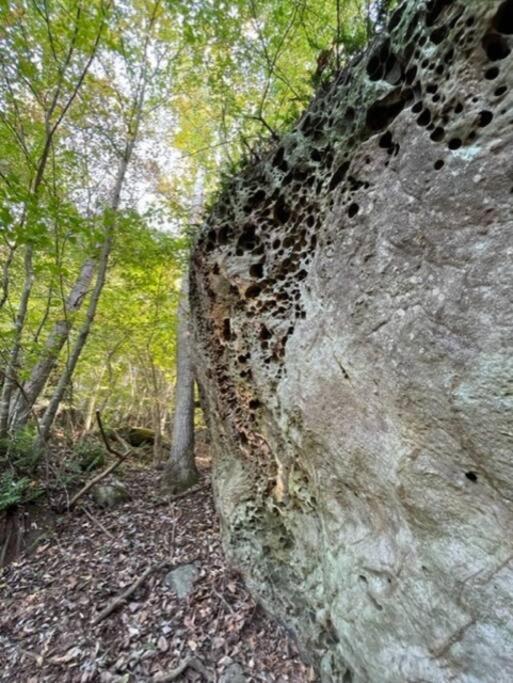 Hocking Hills Cabin-Private Hot Tub, Hiking, Caves Villa Rockbridge Exterior photo