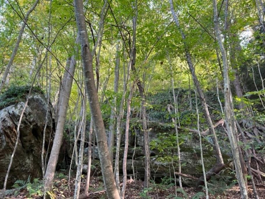 Hocking Hills Cabin-Private Hot Tub, Hiking, Caves Villa Rockbridge Exterior photo